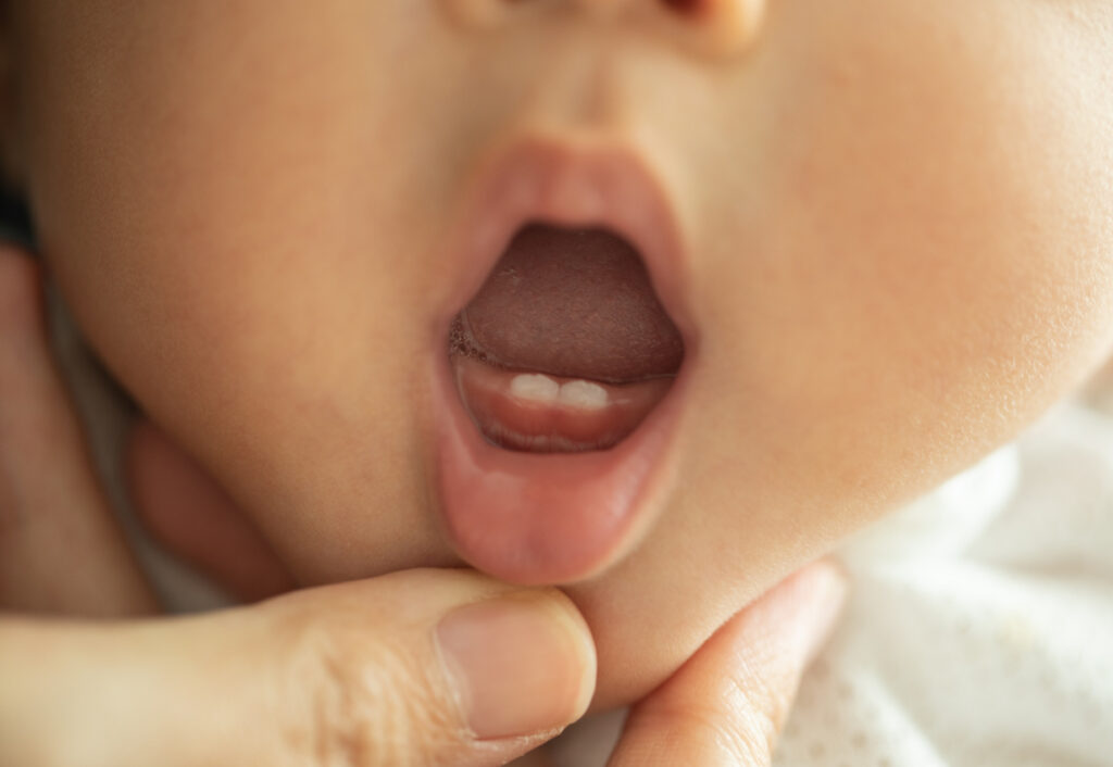 Zahn Baby erster Zahn putzen