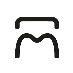 Icon Funktionsdiagnostik klein